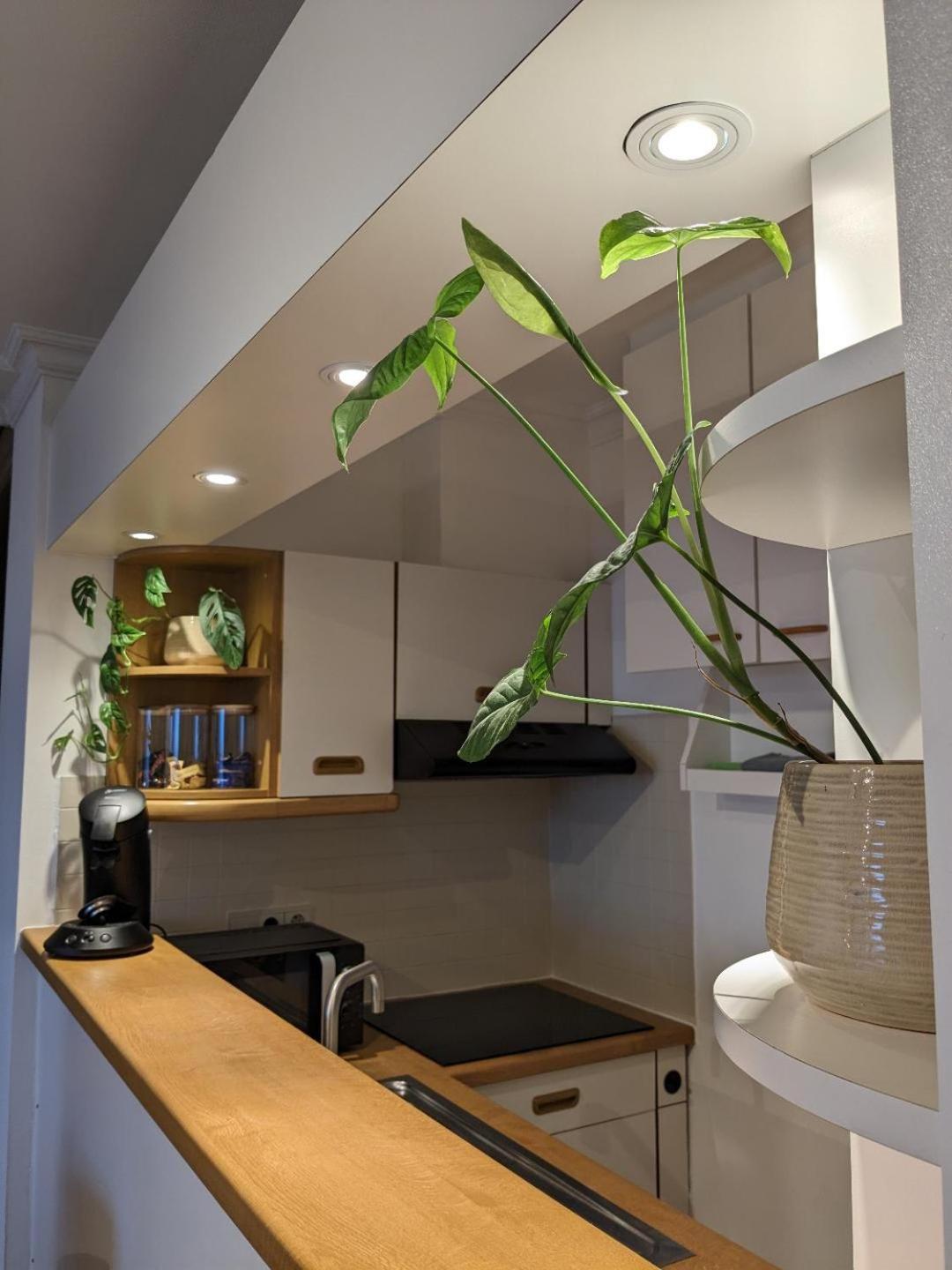 Vista Linda, Leuk Appartement Vlak Bij Zeedijk En Strand Ostenda Zewnętrze zdjęcie